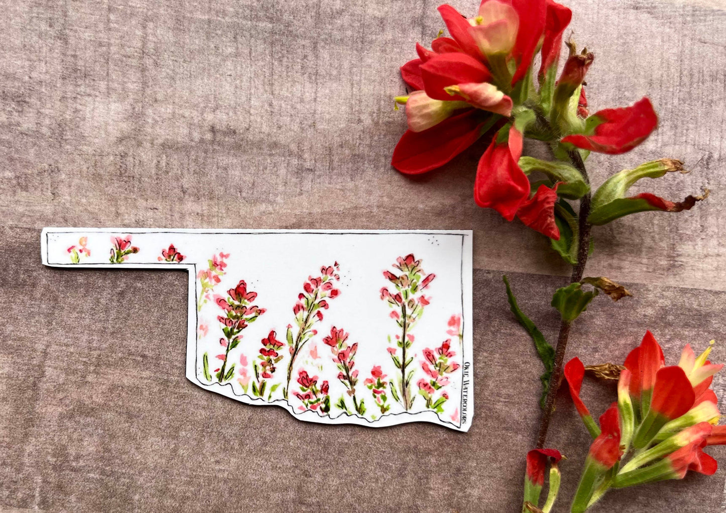 Scissor-tailed Flycatcher Oklahoma State Watercolor Art, 3.5” Magnets