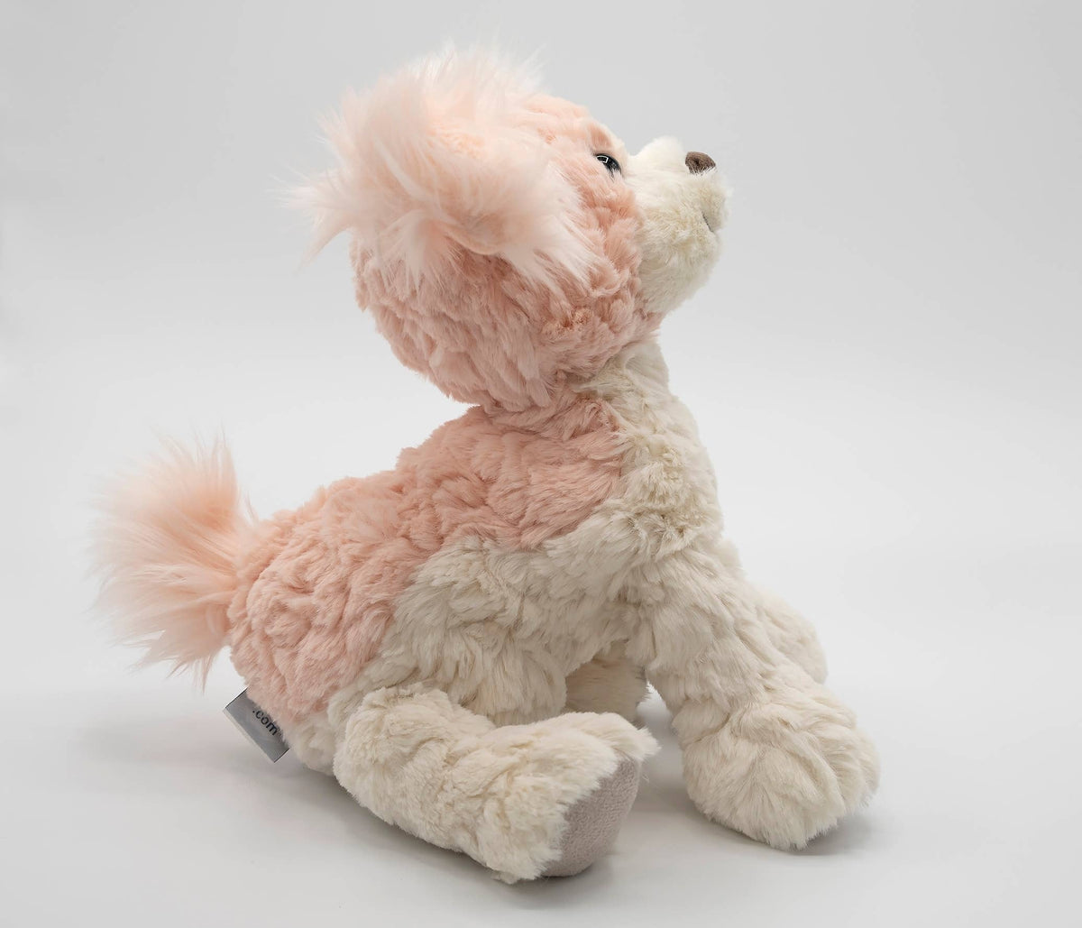 Putty Paris Puppy