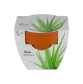 Buzzy Seeds Holiday Mini Grow Pot - Aloe
