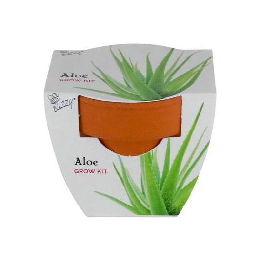 Buzzy Seeds Holiday Mini Grow Pot - Aloe