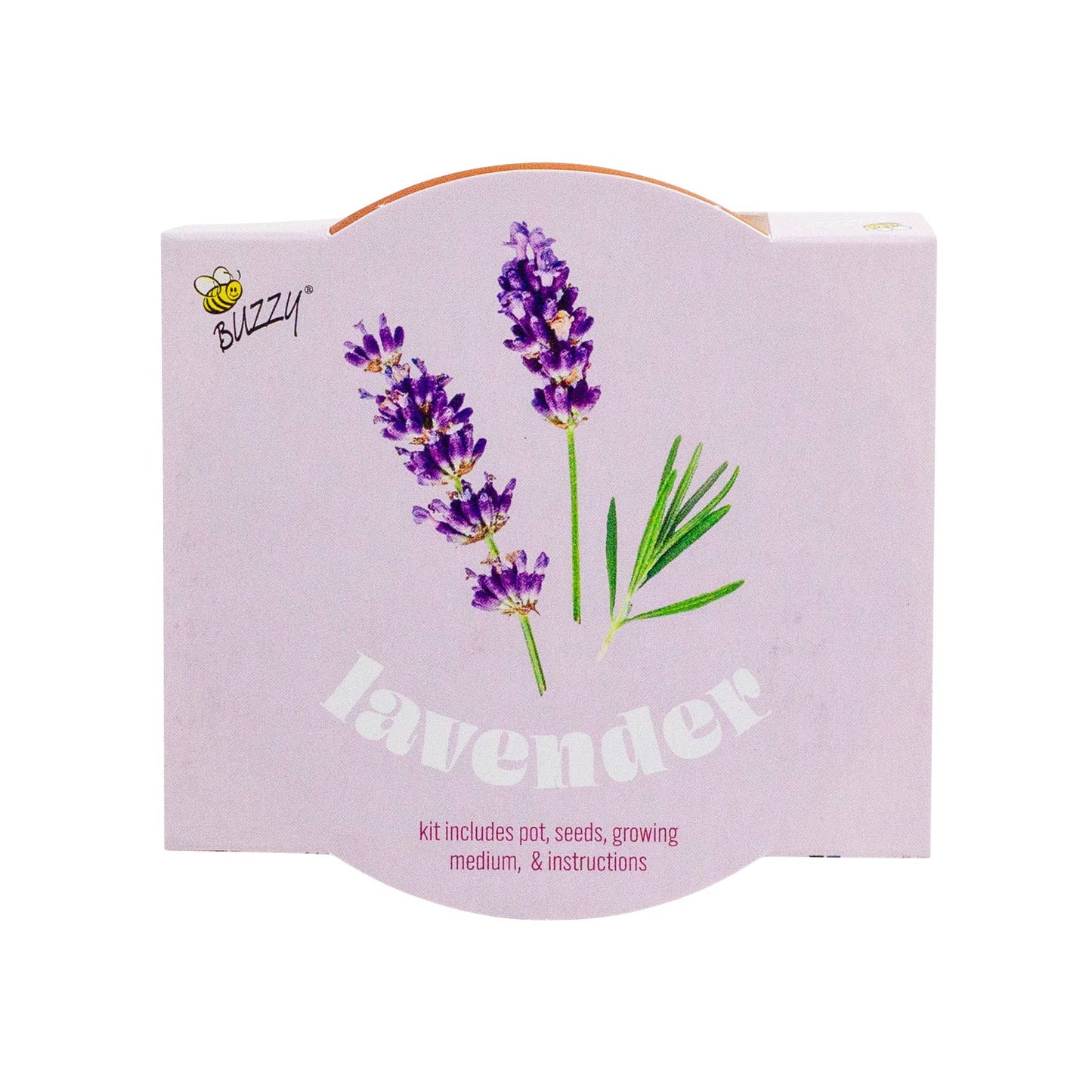Buzzy Seeds Classic 7cm Terra Cotta Grow Kit - Lavender