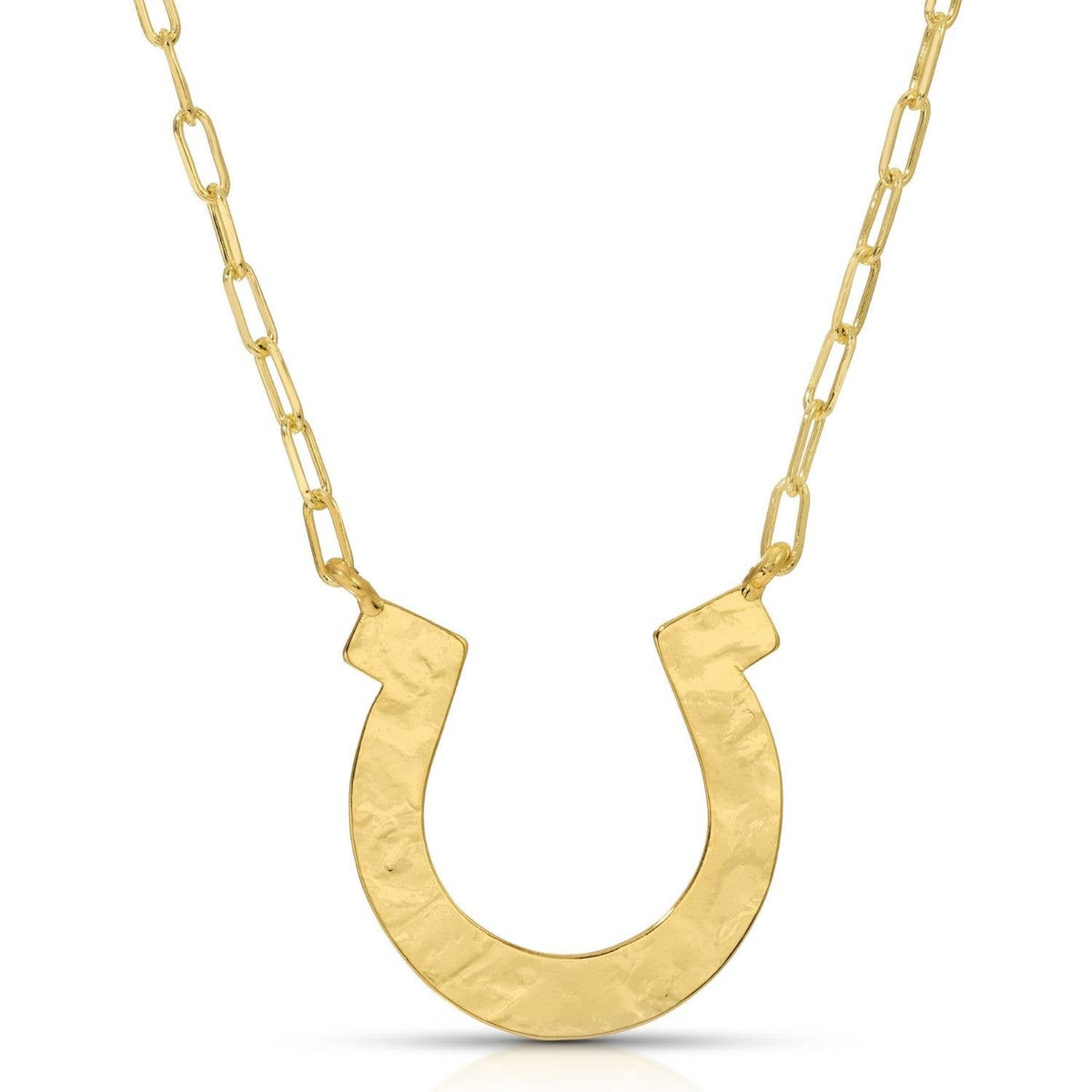 Large Horseshoe Necklace
