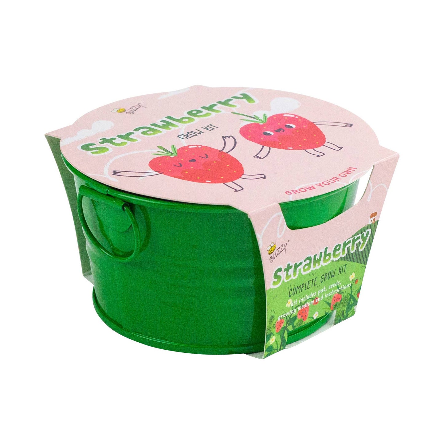 Buzzy Seeds Kids Mini Basin - Strawberry Grow Kit