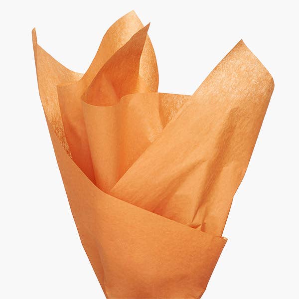 Color Tissue Paper Bulk 20X30" Sheets