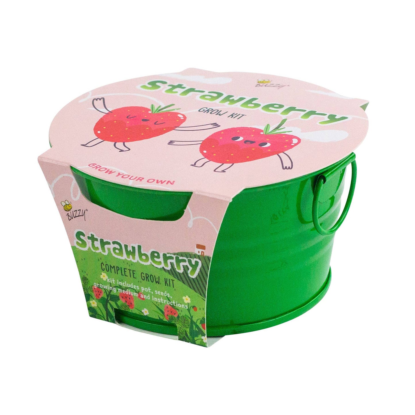 Buzzy Seeds Kids Mini Basin - Strawberry Grow Kit