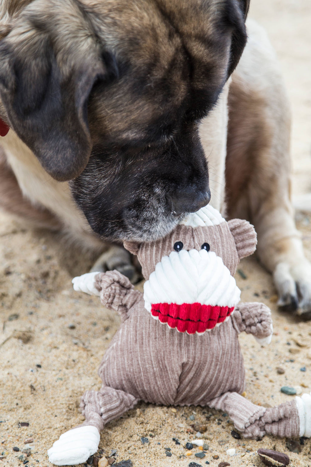 Stuey Sock Monkey Knottie®  Plush Dog Toy