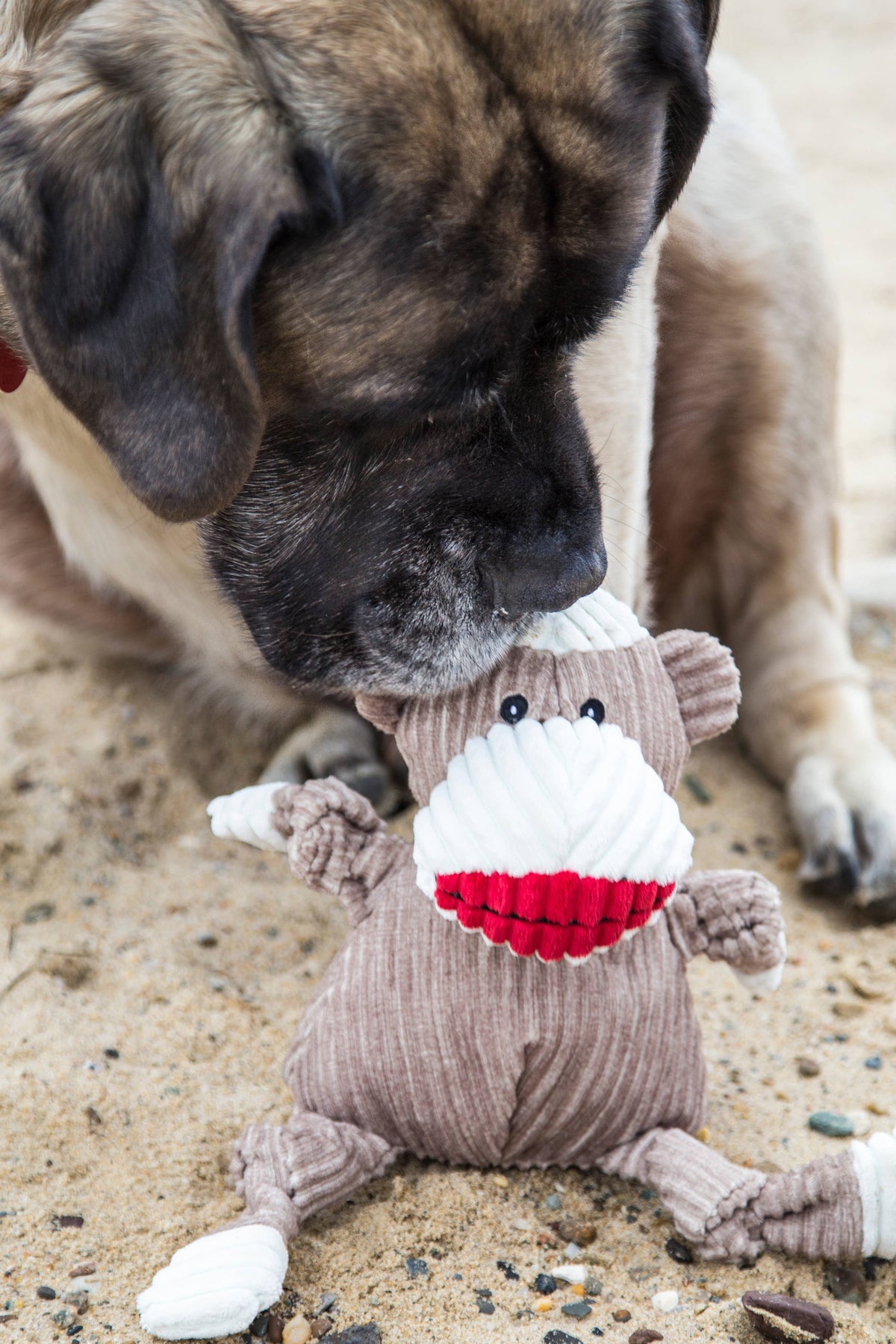 Stuey Sock Monkey Knottie®  Plush Dog Toy