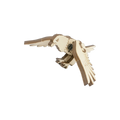 TekPets-Birds - Eagle