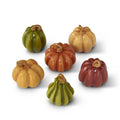 Fall Mini Pumpkin