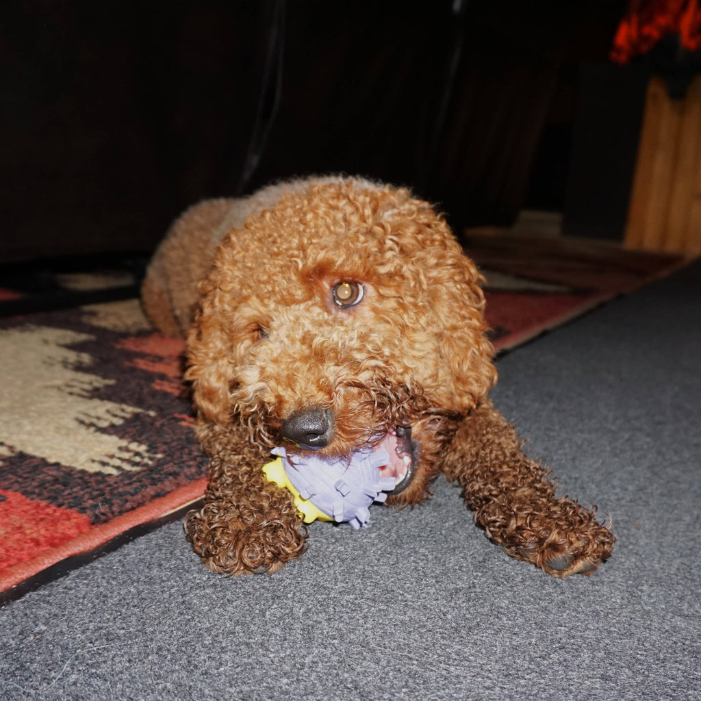 Violet Hedgehog Ruff-Tex® Ball Dog Toy, Small