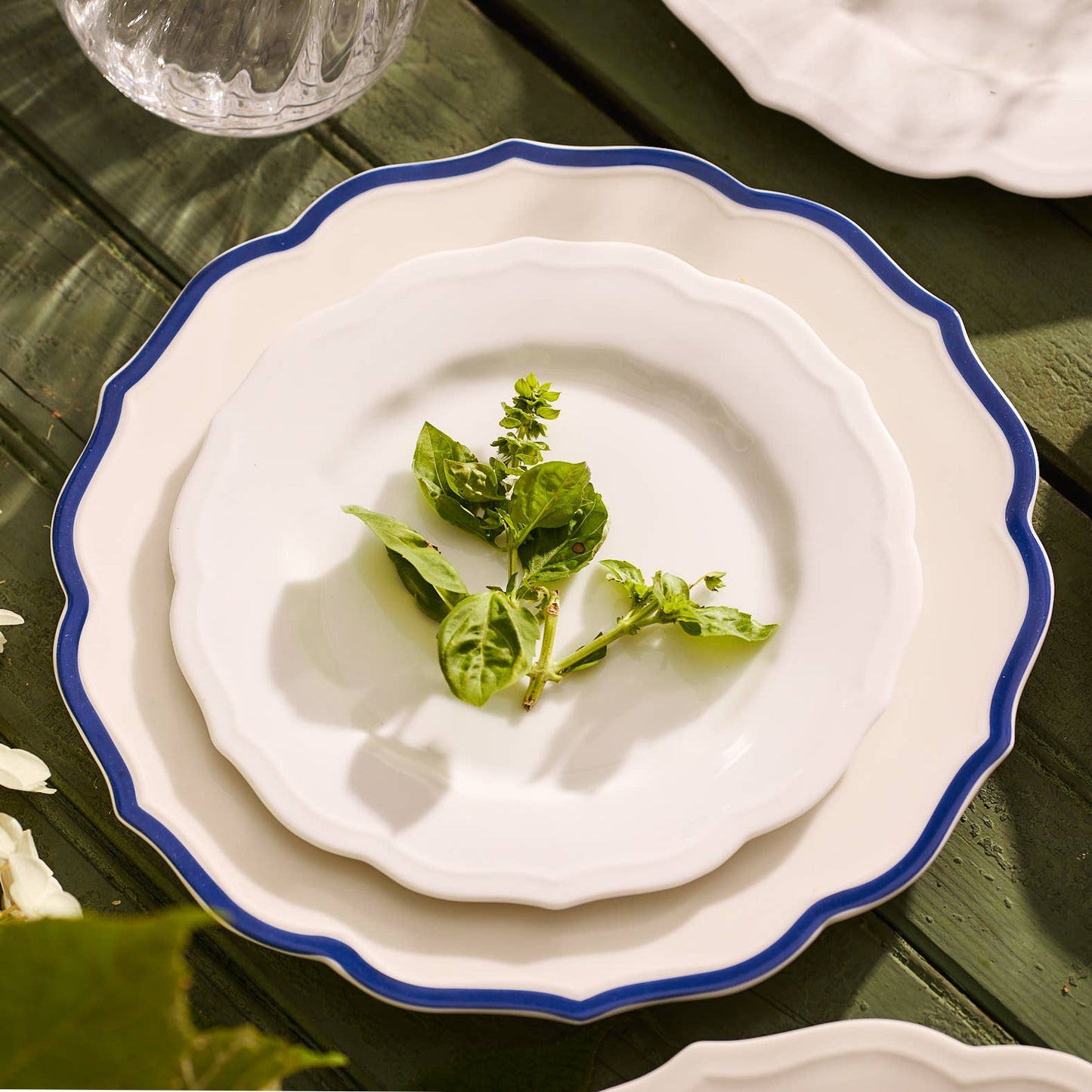 Stella Scalloped Blue Dinner Plate