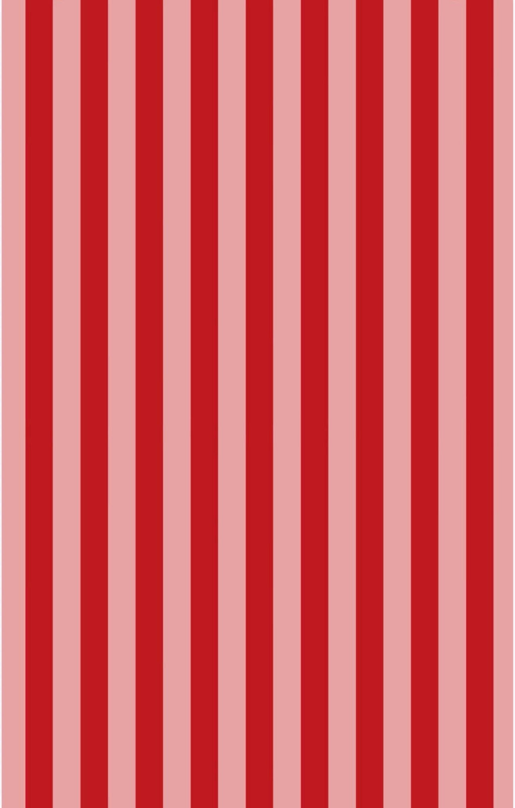 Berry Sweet Picnic: Reversible Washcloth