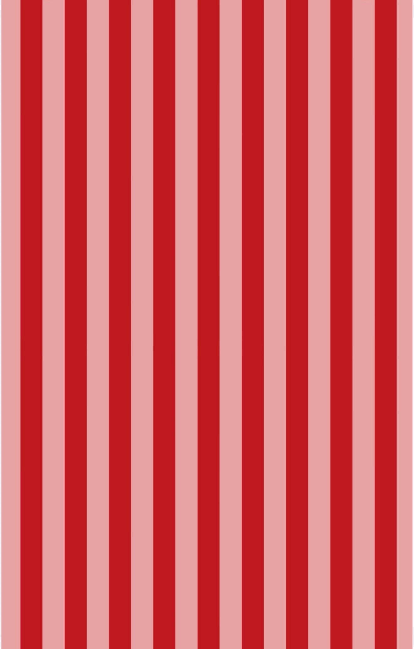 Berry Sweet Picnic: Reversible Washcloth