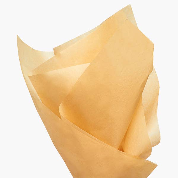 Color Tissue Paper Bulk 20X30" Sheets