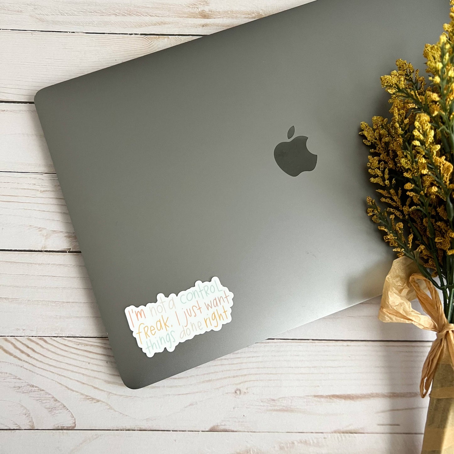 Control Freak Sticker