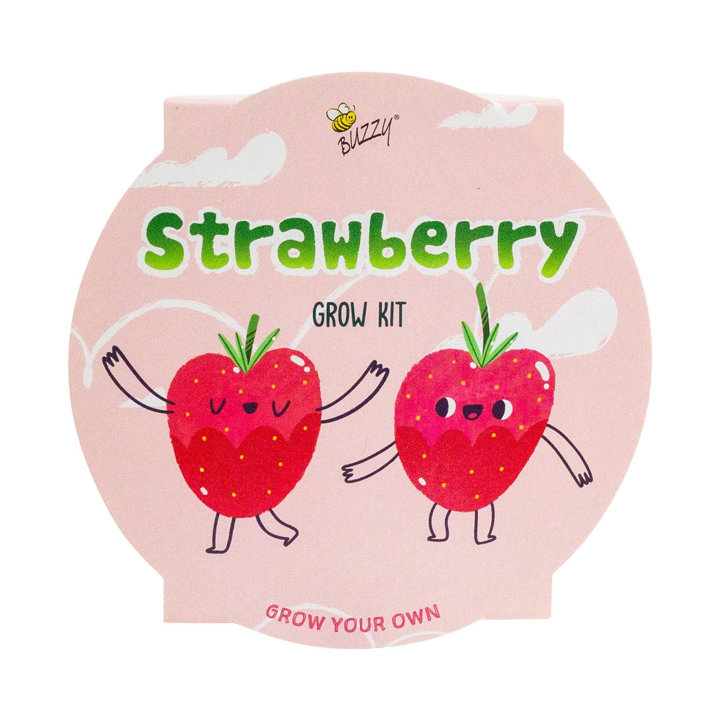 Buzzy Seeds Kids Mini Basin - Strawberry Grow Kit