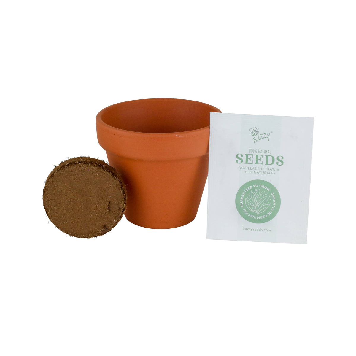 Buzzy Seeds Classic 7cm Terra Cotta Grow Kit - Lavender